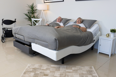 Hi-Lo Companion Bed