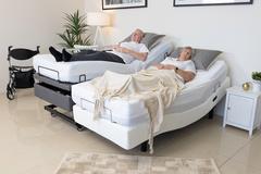 Hi-Lo Companion Bed