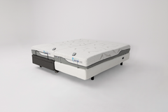 Hi-Lo Companion Bed