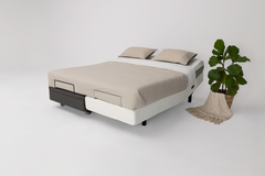 Hi-Lo Companion Bed