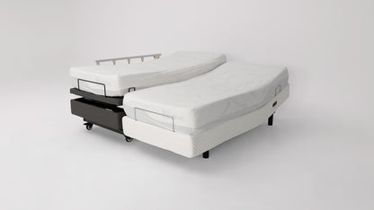 Hi-Lo Companion Bed