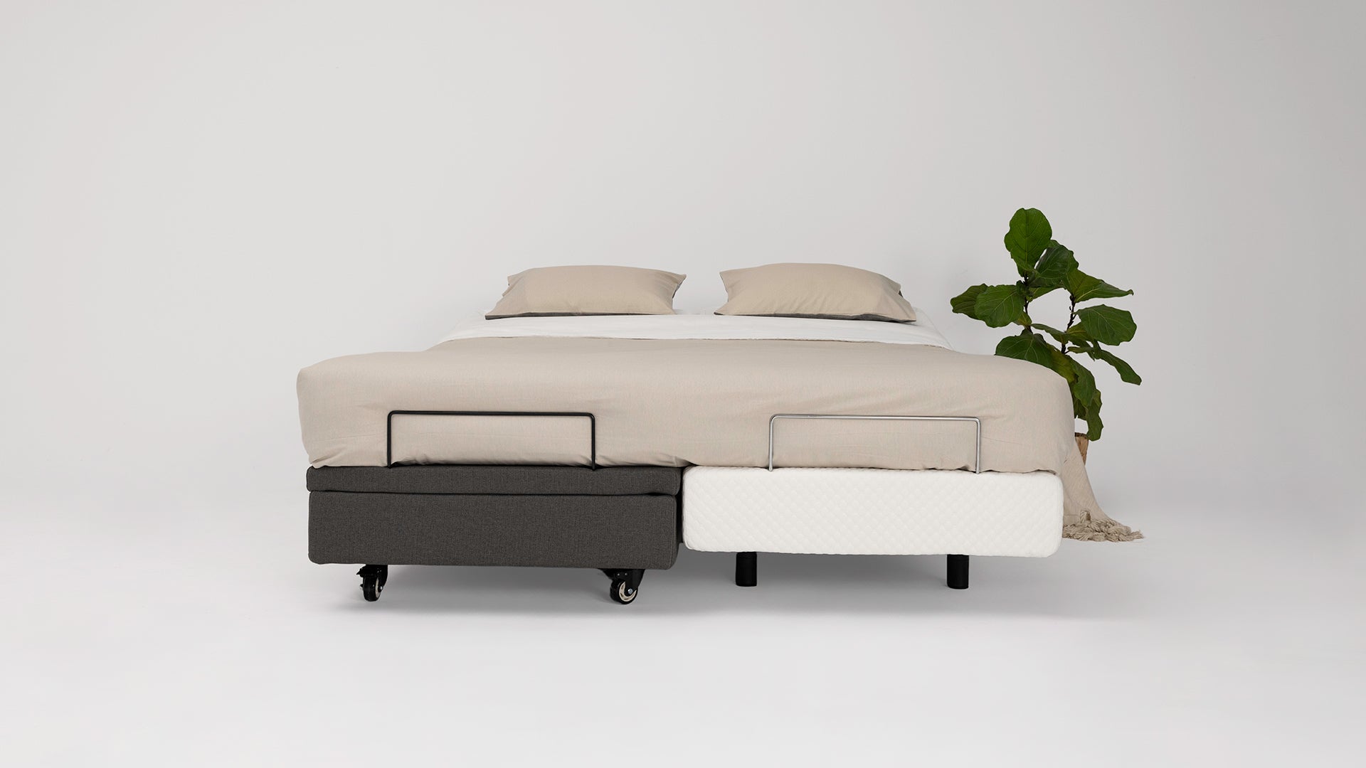 Hi-Lo Companion Bed