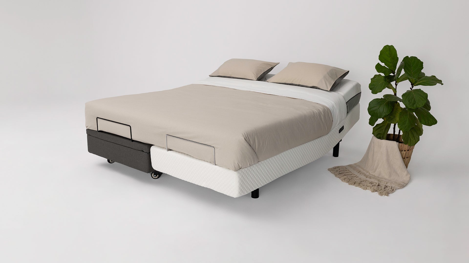 Hi-Lo Companion Bed