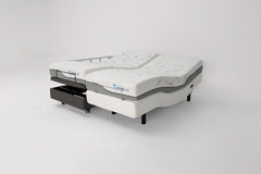 New | Hi-Lo Companion Bed